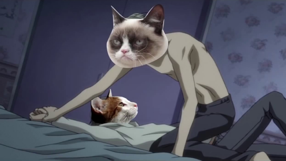Cat human hybrid anime